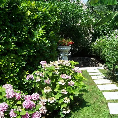 Giada 토리델베나코