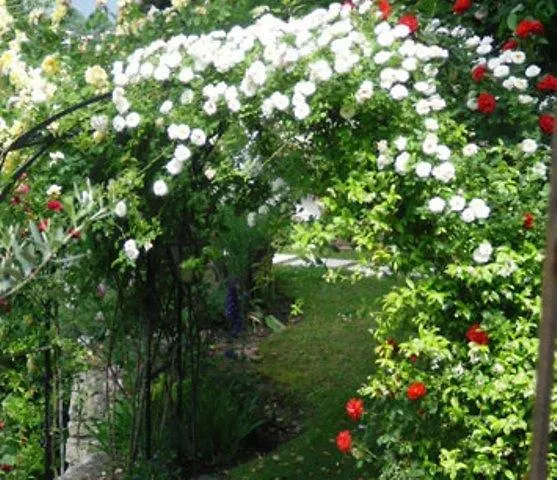 Apartamento Giada Torri Del Benaco