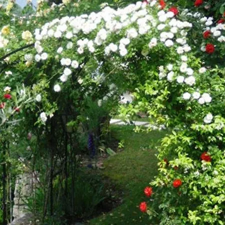 Lejlighed Giada Torri Del Benaco